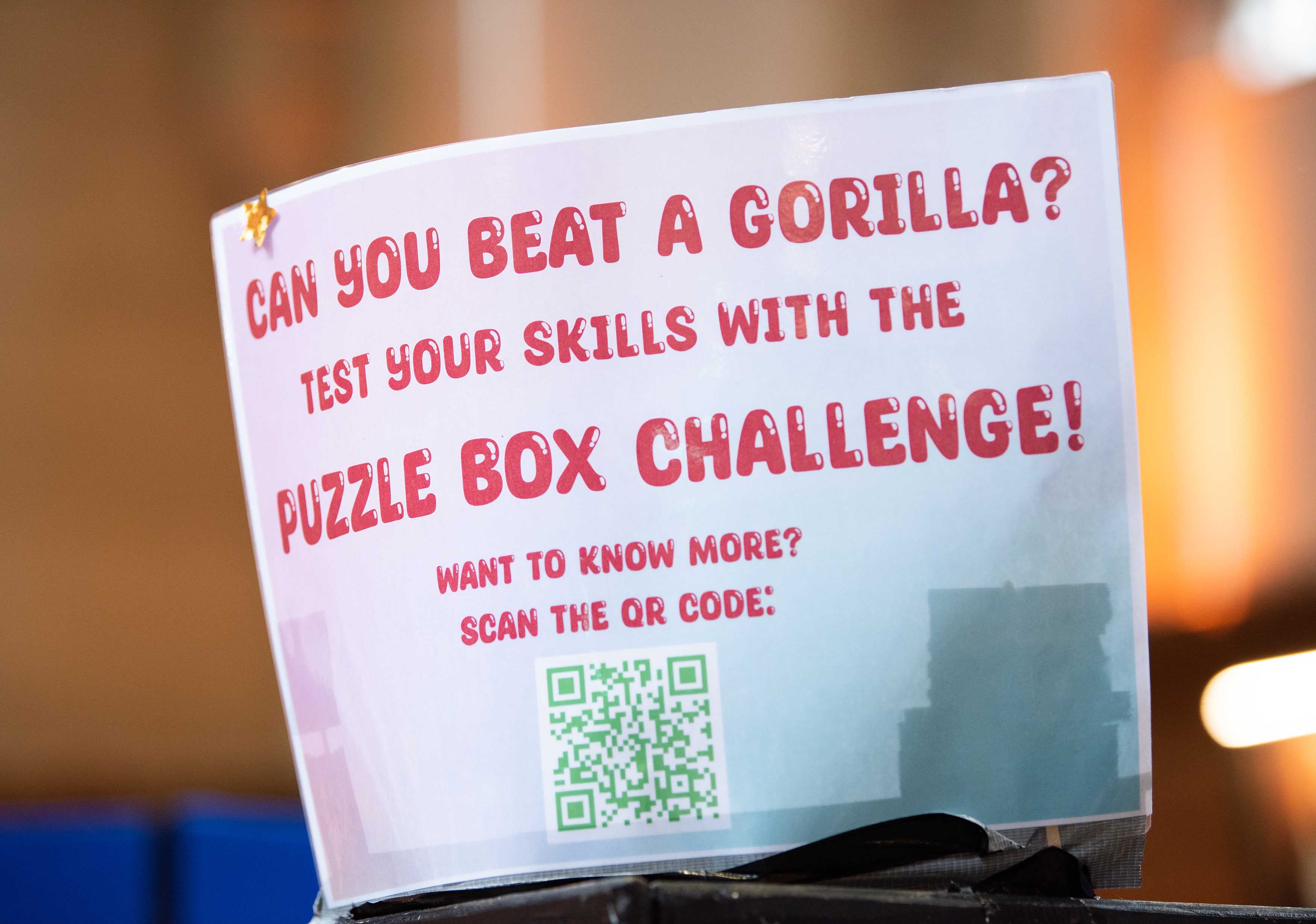 Can you beat a gorilla? puzzle box